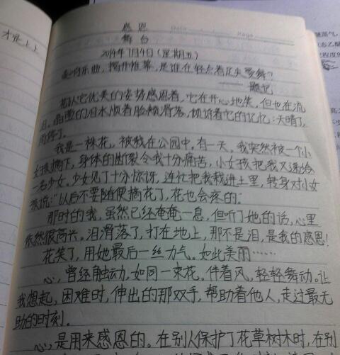 那年夏天，我们一起长大（青涩的初恋与成长）