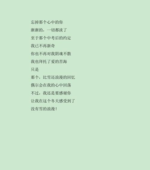 浪漫之路（爱情的花开）