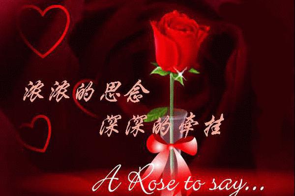 小娜的思念（小娜的思念）