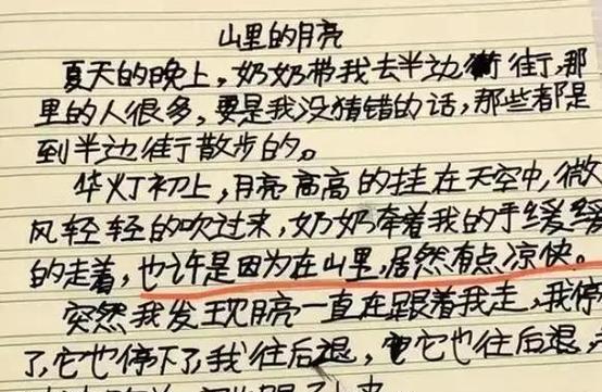 神奇魅力的旅程：探秘失落的玛雅文明