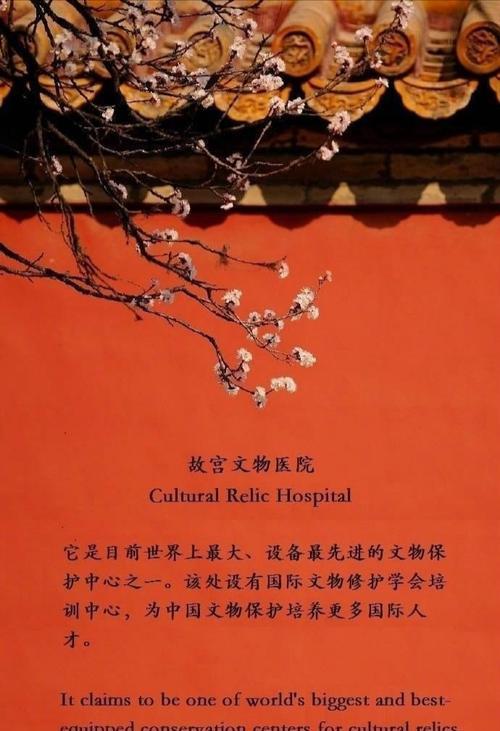探寻故宫里的秘密（一个宫廷贵族的故事）
