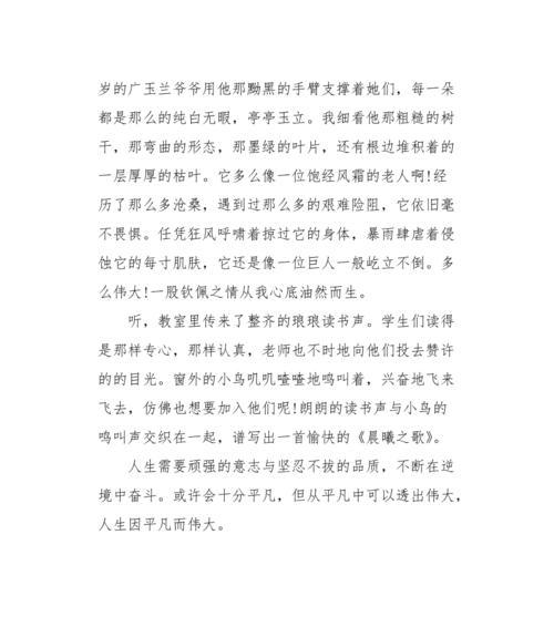 平凡的人生，不凡的故事（一个普普通通的人）