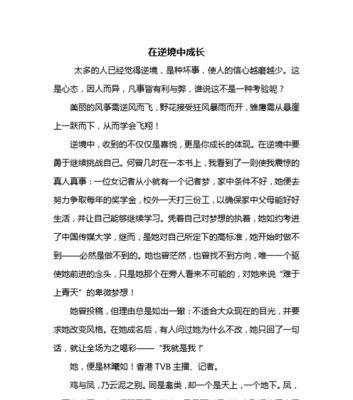 《飞向梦想的风筝》