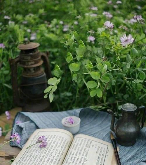 青葱苍穹下的破晓（记一场青春的告别与重逢）