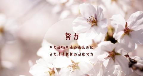 力量之美，唯美之光（25个励志短句）