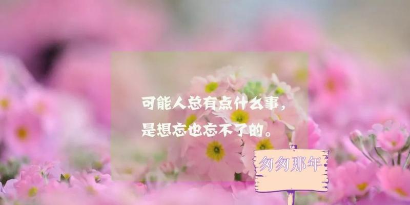 心情随笔（美丽的瞬间永不散场）