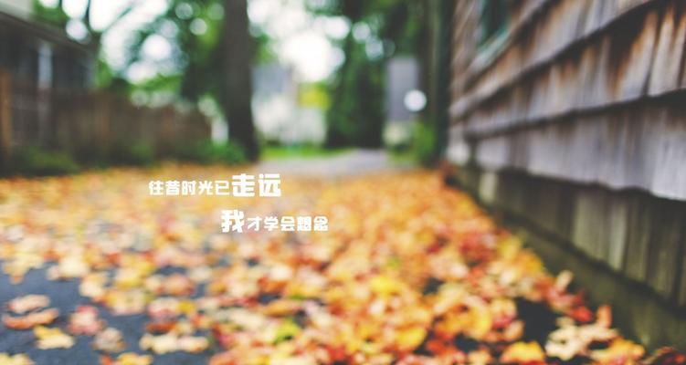 心情随笔（美丽的瞬间永不散场）