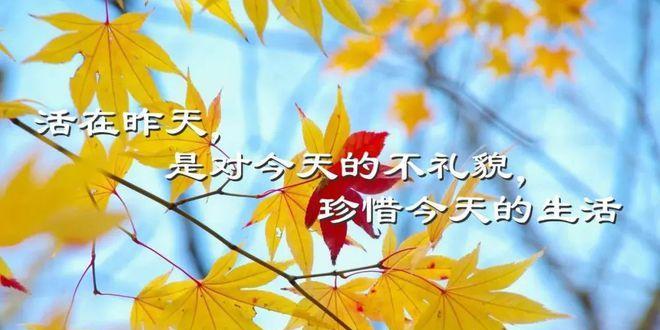 阳光总在风雨后（25个励志唯美句子）