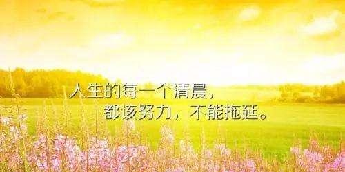 阳光总在风雨后（25个励志唯美句子）