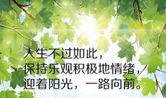 阳光总在风雨后（25个励志唯美句子）