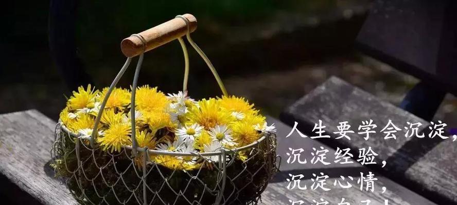 心态决定一切（以励志唯美句子激励正能量）