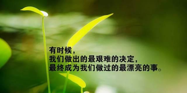 《深度之美》