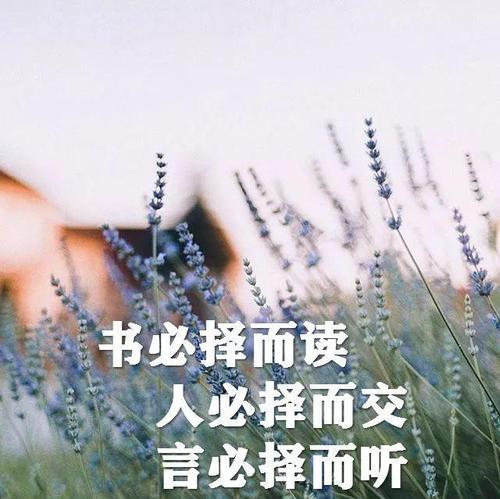 唯美诗篇-精短句子的励志世界（寻找内心的美）