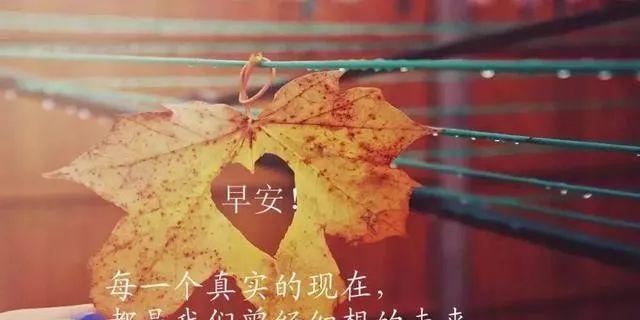 唯美诗篇-精短句子的励志世界（寻找内心的美）