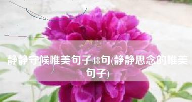 思念之美——浪漫唯美句子