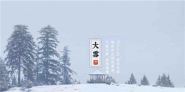 大雪节气，寒梅绽放，暖心唯美（白雪皑皑）