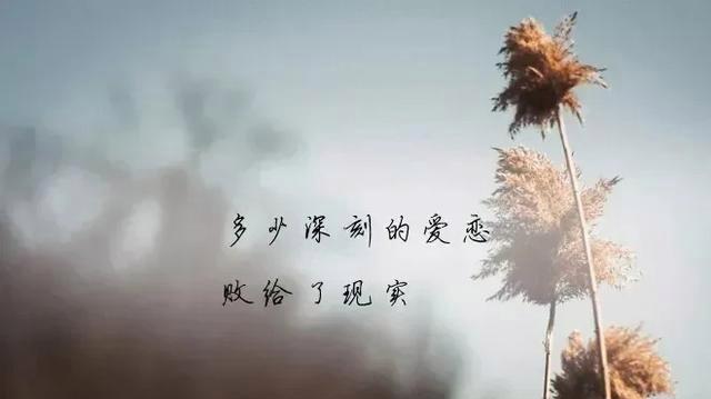 探究美好的表达方式（探究美好的表达方式）