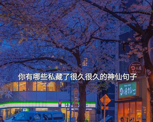 收藏时光里的唯美句子（神仙句子美文荟萃）