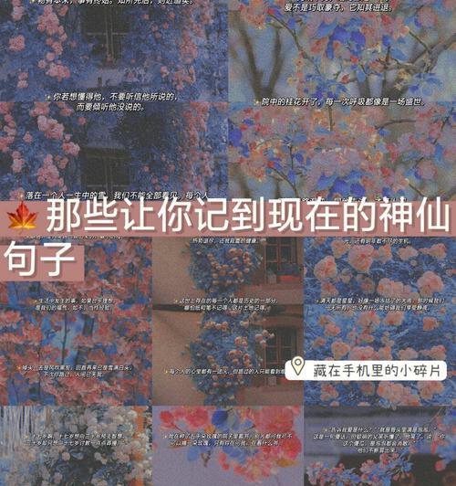 用唯美短句传递生日的祝福（用唯美短句传递生日的祝福）
