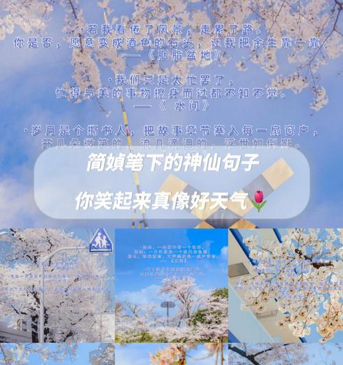用唯美短句传递生日的祝福（用唯美短句传递生日的祝福）