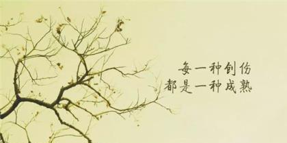 美丽的回忆（美丽的回忆）