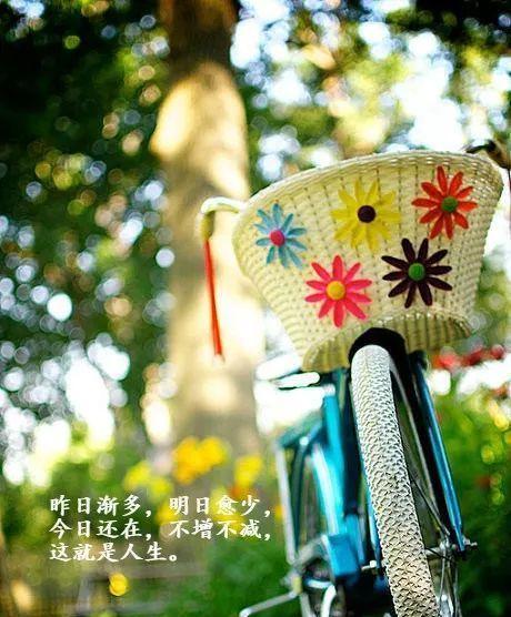 《雨中寻觅》