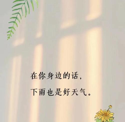 《雨中寻觅》