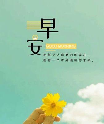 唯美正能量女性语录，分享你我生命的芬芳（唯美正能量女性语录）