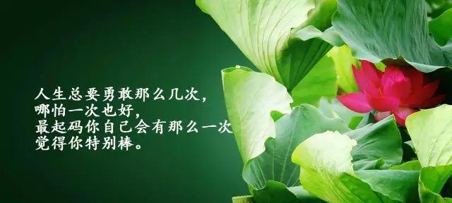 以做人正能量为中心的名言警句（正能量驱走阴霾）