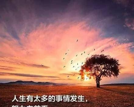 人生必备，积极面对挫折的25个方法（人生必备）