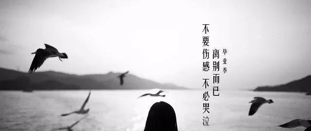 挺起胸膛，做坚强的自己（唯美短句写出你的力量）