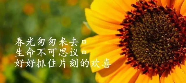 岁月如歌，别离难舍（2024年最走心的告别语句汇总）