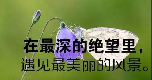 岁月如歌，别离难舍（2024年最走心的告别语句汇总）