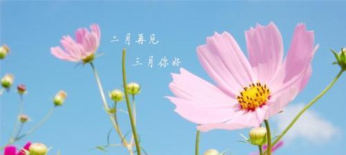 秋意盎然，十月你好（落叶飘舞）