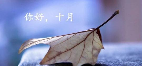 美丽的句子让时间静止，回忆里的季节，恍如昨日（美丽的句子让时间静止）