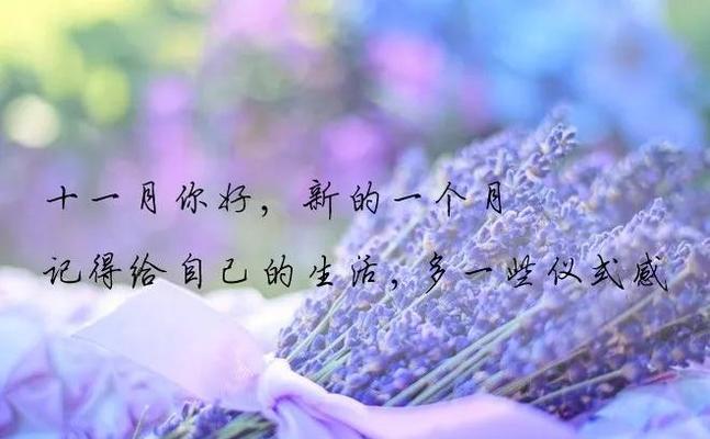 美丽的句子让时间静止，回忆里的季节，恍如昨日（美丽的句子让时间静止）