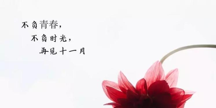 10月再见11月你好，送别与相遇（踏着秋叶）