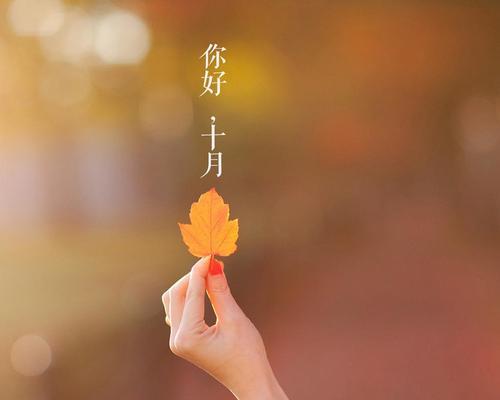 时光荏苒，岁月如歌，让我们一起追寻美好（时光荏苒）