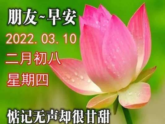 以最新周四早安问候语唤醒美好一天（以最新周四早安问候语唤醒美好一天）