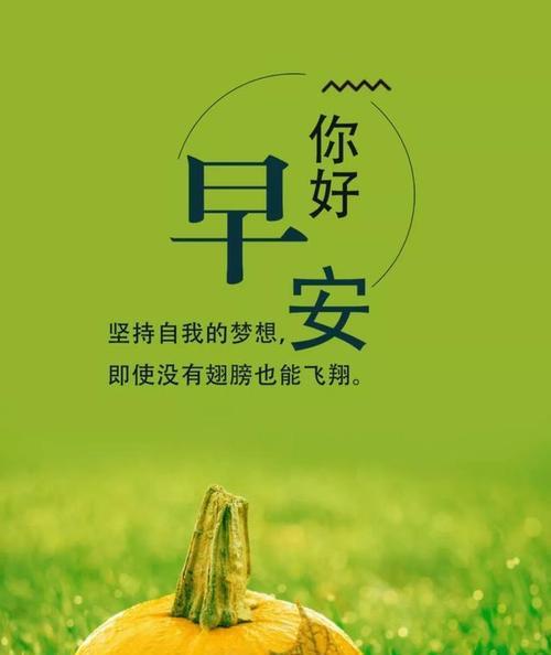 《清晨一句话，温暖心情》