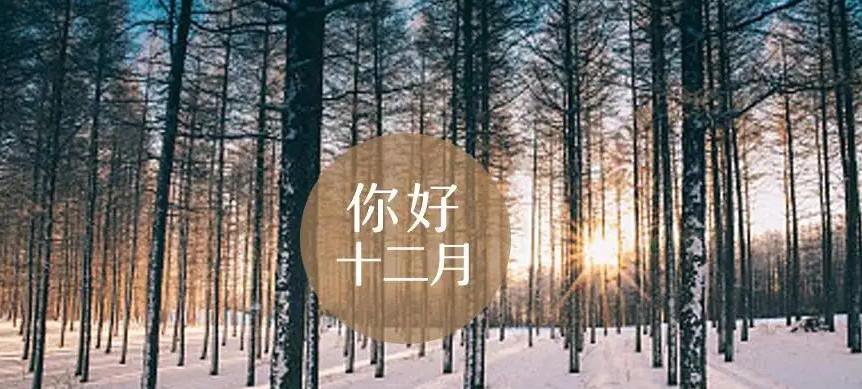 再见十月，你好十一月（人生感悟短句）