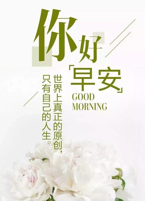 最新早安心语句子2024（唯美短句）