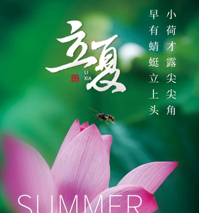 五月阳光，恰似花开（以最新优秀立夏祝福语为灵感）
