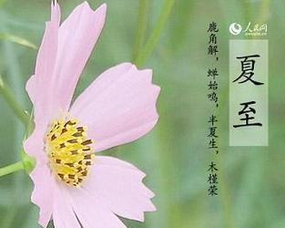 夏至祝福语92句，唯美祝福暖人心