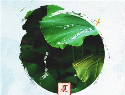 夏至光辉明媚璀璨