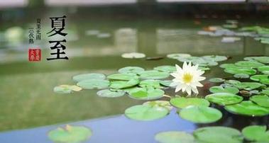 夏至节气说说（用最新118条说说）
