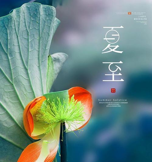 夏至节气说说（用最新118条说说）