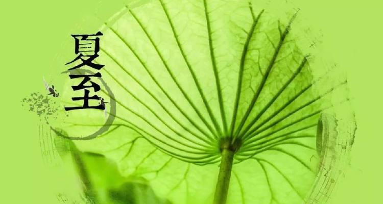 《夏至花开，时光暖色》