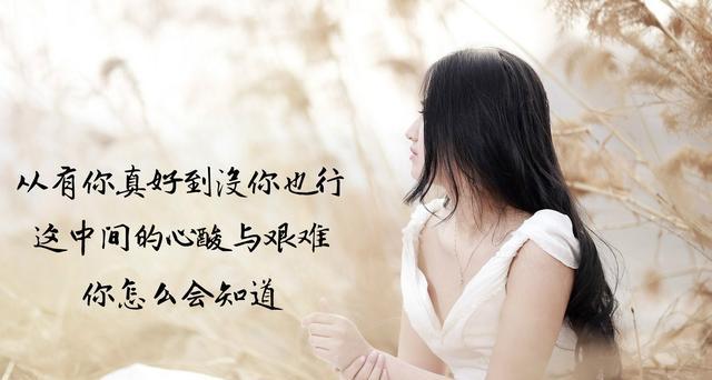 唯美经典（25个句子）