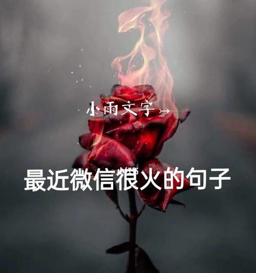 二、微信好句子记录了我们的日常，把时间定格在那些珍贵的瞬间。